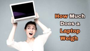 How Much Does a Laptop Weigh